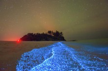 Пляжи, которые светятся: необычное явление на Мальдивах