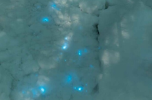 Откуда в Арктике взялся светящийся снег