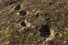 Разгадана тайна следов, оставленных на горячей лаве 350 тыс лет назад на Чампате-дель-Дьяволо