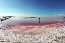 Аналог Мертвого моря — Розовое озеро в Херсонской области