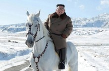 Зачем лидер Северной Кореи Ким Чен Ын покупает русских лошадей