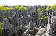 «Каменные джунгли» — необычный заповедник Мадагаскара