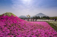 Японский парк Хитачи, меняющий свой цвет в каждом сезоне
