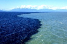 Почему океаны не смешиваются своими водными границами