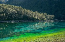 Почему в Новой Зеландии власти запрещают купаться в чистейшем озере планеты