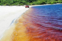 Озеро из кока-колы: как оно выглядит и почему его вода приобрела цвет популярного напитка