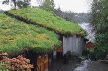 Зачем на крышах домов в скандинавских странах сажают траву и зелень