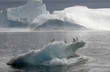 Почему в российской Арктике лед растает быстрее, чем на берегах Канады и США
