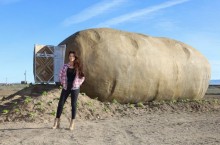 Переночевать в картошке: как огромный овощ превратился в уютный отель