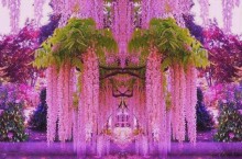 Невероятный Сад Кавати Фудзи в Японии, утопающий в цветах