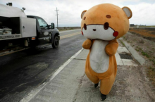 Мишка-путешественник: как мужчина в костюме медведя прошел пешком из Лос-Анджелеса в Сан-Франциско