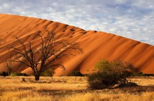 Намиб в Африке: одна из самых древних пустынь в мире