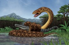 Титанобоа – огромная змея, жившая около 60 млн лет, которую получилось заснять на камеру