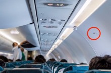 Что означает черный треугольник, находящийся на стене самолета
