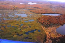 Больше Швейцарии: огромные Васюганские болота в России