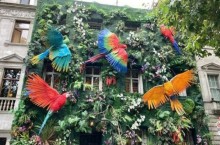 Джунгли в Лондоне: как фасад элитного клуба превратился в тропический рай