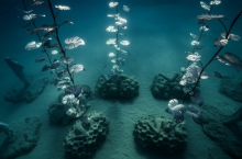 Как выглядят необычные инсталляции подводного музея Кипра, который построили в Средиземном море