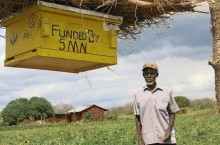 Зачем африканские фермеры ставят ульи вокруг своих земельных участков