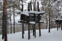 «Избушки на курьих ножках» в иркутских лесах: что это за таинственные сооружения