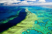 Барьерный риф — настоящее чудо природы
