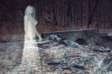 Мистические места Польши, где «живут» привидения
