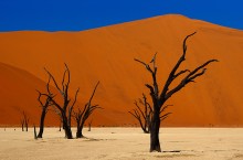 Соссусфлей: как выглядит «Долина без возврата» с красными дюнами в Намибии