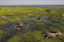 Дома на болоте: как в таких условиях живут люди из африканского племени