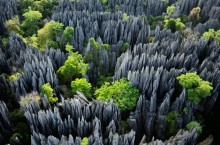 Лес из острых камней в Китае, которые торчат из земли как лезвия