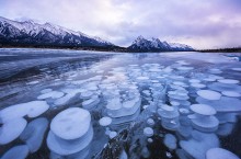 Откуда на поверхности канадского озера Абрахам берутся замороженные пузырьки