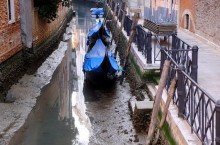Город на воде: на чем на самом деле стоят дома Венеции