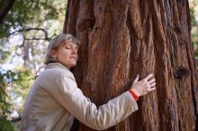 Послание дереву: в какой стране люди пишут письма деревьям и что в них рассказывают