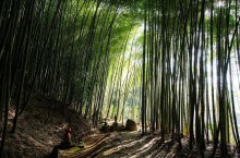 Почему Лощина Черного бамбука в Китае имеет дурную славу