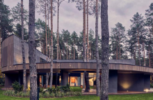 Как выглядит дом, похожий на пень, расположенный в лесах Польши