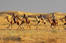 Чем заняться, когда вокруг один песок: развлечения в пустыне в разных странах