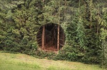 Мистификация или работа инопланетян: чем оказалась идеально круглая дыра в лес