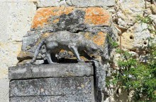 Рай для любителей кошек — кошачья деревня во Франции