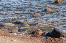 Чем опасен Финский залив и почему в нем нельзя купаться