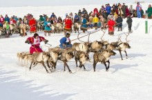 День оленевода на Ямале: как проходит этот колоритный праздник