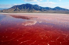 «Химическое» озеро Натрон с ярко-красной водой и застывшими мумиями птиц