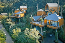 Китайцы создали необычный курорт, где домики расположены прямо на деревьях