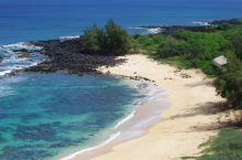 Почему туристам нельзя приезжать на остров Ниихау