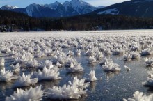 Цветы, шары, блины: какие необычные виды льда можно увидеть в России