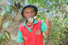Как мужчина из Индонезии в одиночку превратил засушливое место в зеленый лес