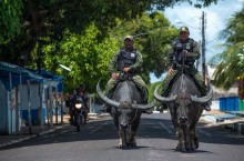 Полицейские из Бразилии следят за порядком верхом на… буйволах
