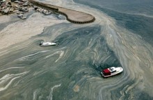Откуда появилась «морская слизь» около берегов Турции, угрожающая превратить море в болото