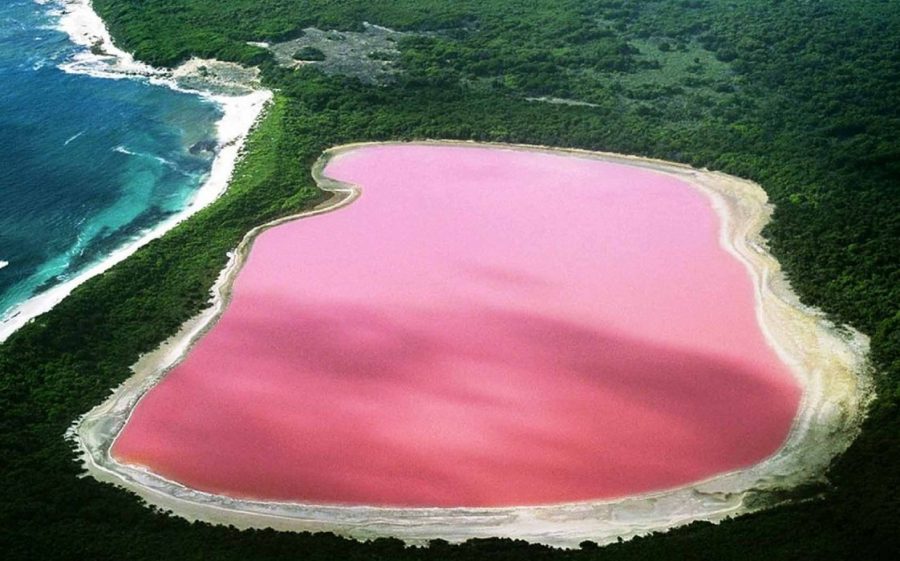 Розовое озеро Хильер, Австралия