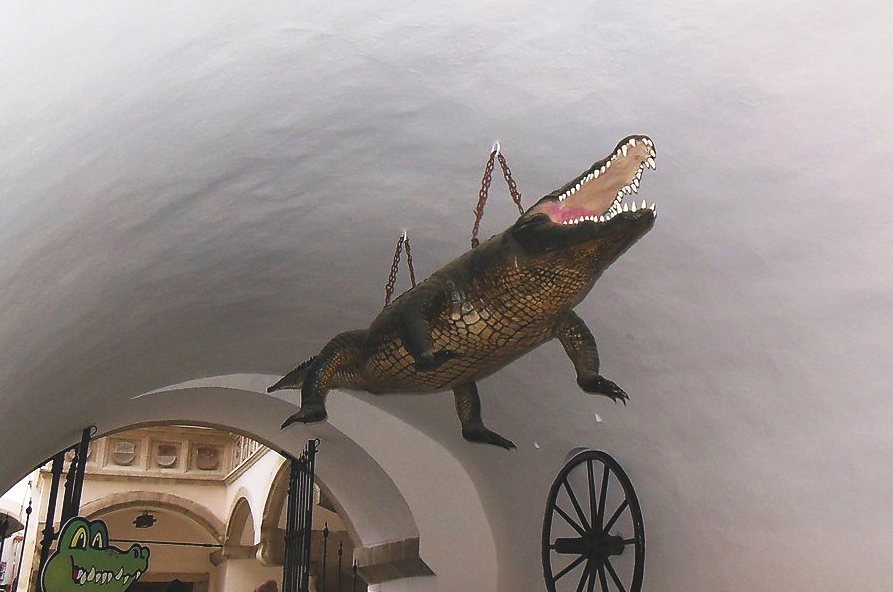 Чешский дракон из города Брно 