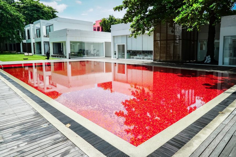Кровавый бассейн в Самуи (Таиланд)
