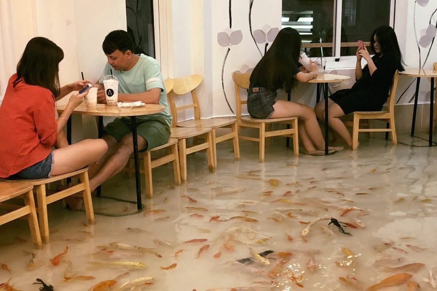 Ресторан с живым полом во Вьетнаме