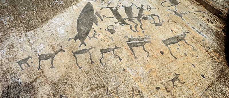 Удивительные петроглифы найдены в Карелии